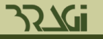 Bragi OÜ logo