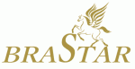 BraStar pesupood / DESIGN 4 YOU OÜ logo